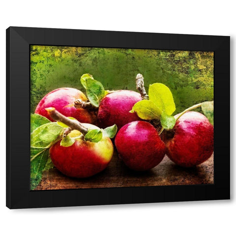 The Harvest II Black Modern Wood Framed Art Print by Perry, Rachel