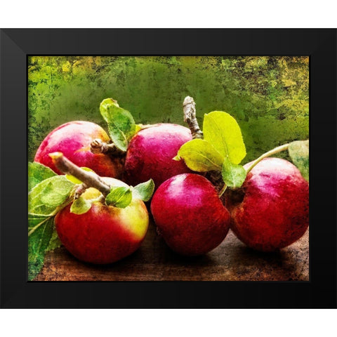 The Harvest II Black Modern Wood Framed Art Print by Perry, Rachel