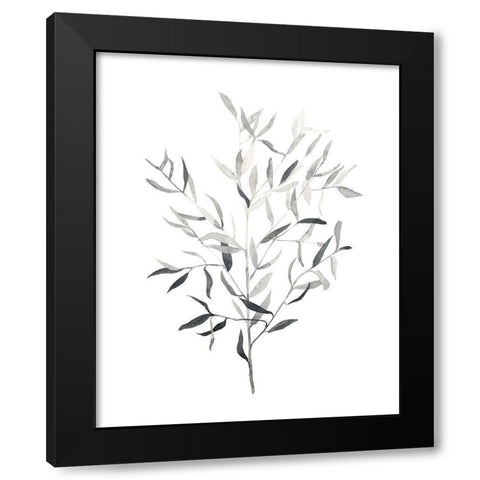 Paynes Grey Botanicals III Black Modern Wood Framed Art Print with Double Matting by Scarvey, Emma