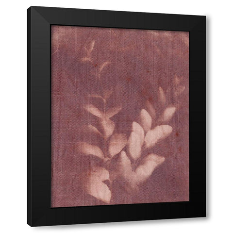 Botanical Sun II Black Modern Wood Framed Art Print by Sizemore, Natalie