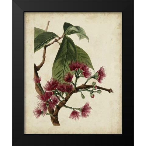 Non-Embellished Antique Fringe Tree Black Modern Wood Framed Art Print by Weddell