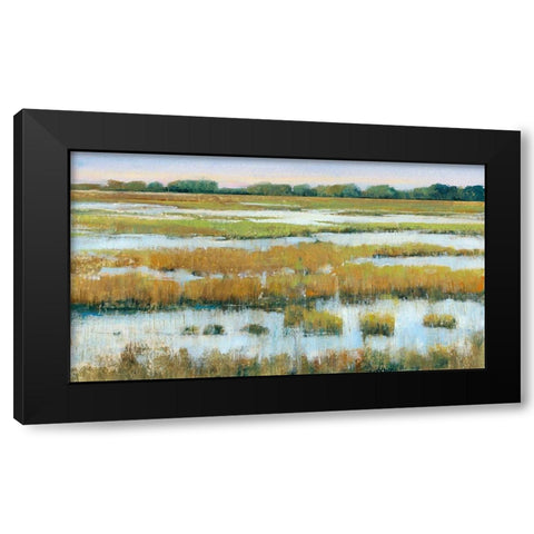 Serene Marshland I Black Modern Wood Framed Art Print with Double Matting by OToole, Tim