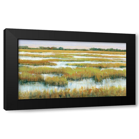 Serene Marshland II Black Modern Wood Framed Art Print with Double Matting by OToole, Tim