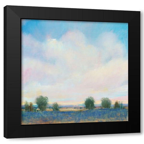 Summer Sky II Black Modern Wood Framed Art Print with Double Matting by OToole, Tim