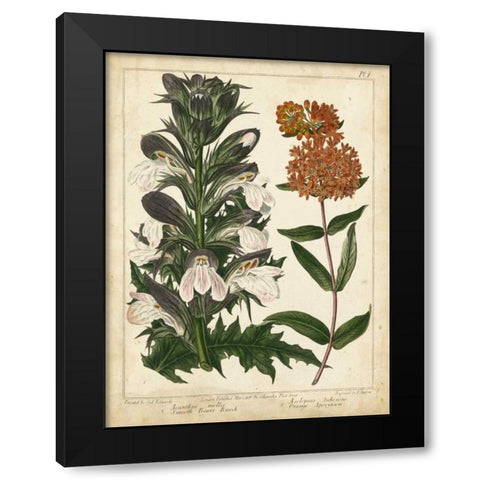 Non-Embellish Enchanted Garden IV Black Modern Wood Framed Art Print by Edwards, Sydenham
