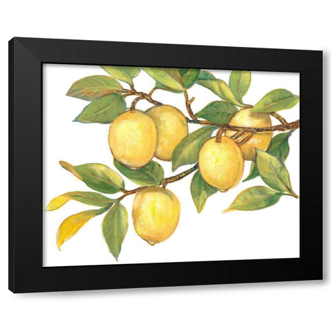 Ripe for Picking I Black Modern Wood Framed Art Print by OToole, Tim