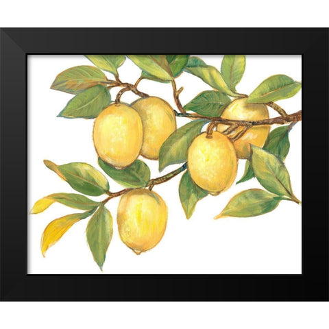 Ripe for Picking I Black Modern Wood Framed Art Print by OToole, Tim