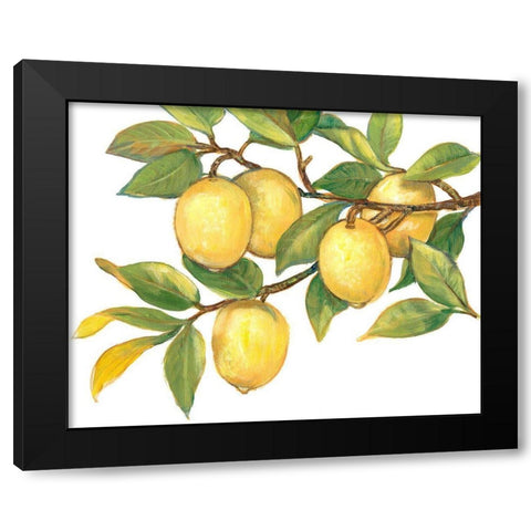 Ripe for Picking I Black Modern Wood Framed Art Print with Double Matting by OToole, Tim