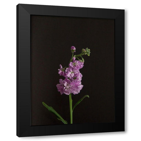 Dark and Dreamy I Black Modern Wood Framed Art Print with Double Matting by Stramel, Renee W.
