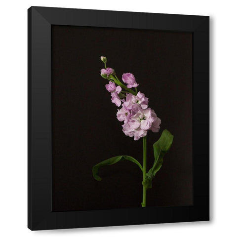 Dark and Dreamy II Black Modern Wood Framed Art Print by Stramel, Renee W.