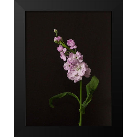 Dark and Dreamy II Black Modern Wood Framed Art Print by Stramel, Renee W.