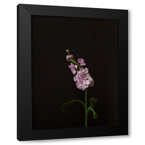 Dark and Dreamy III Black Modern Wood Framed Art Print by Stramel, Renee W.