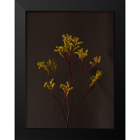 Dark and Dreamy IV Black Modern Wood Framed Art Print by Stramel, Renee W.