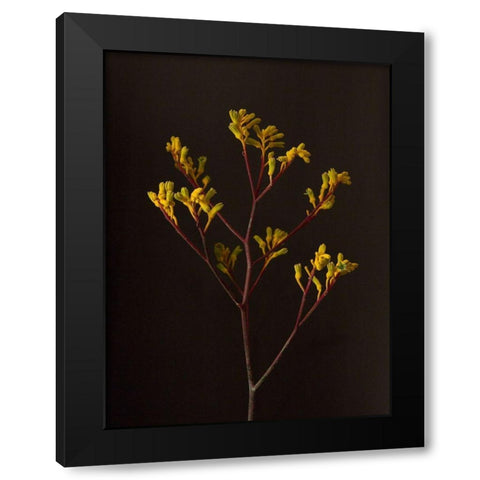 Dark and Dreamy V Black Modern Wood Framed Art Print with Double Matting by Stramel, Renee W.