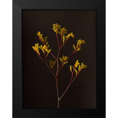 Dark and Dreamy V Black Modern Wood Framed Art Print by Stramel, Renee W.