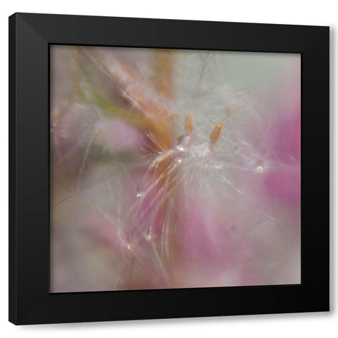 Fairy Dance II Black Modern Wood Framed Art Print with Double Matting by Hunt, Gillian
