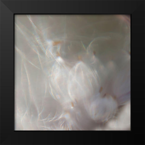 Fairy Dance III Black Modern Wood Framed Art Print by Hunt, Gillian