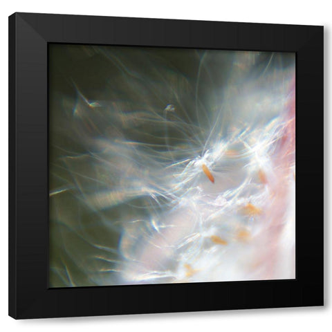 Fairy Dance VI Black Modern Wood Framed Art Print with Double Matting by Hunt, Gillian