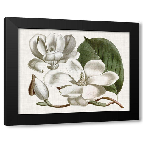 Curtis Magnolia I Black Modern Wood Framed Art Print by Curtis