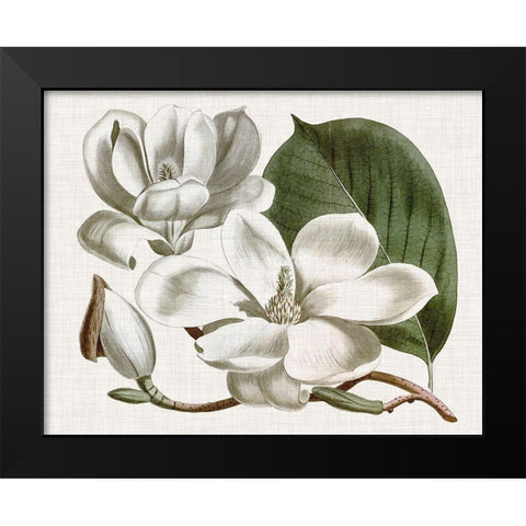 Curtis Magnolia I Black Modern Wood Framed Art Print by Curtis
