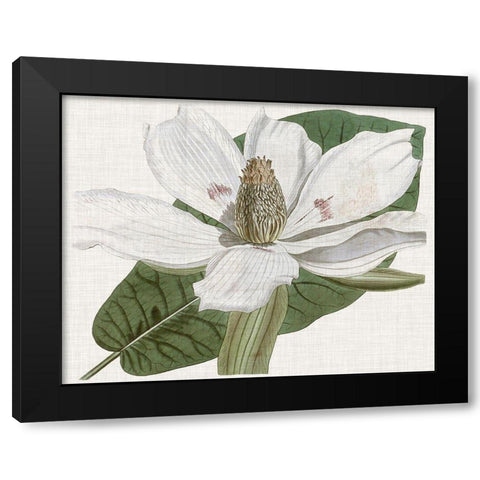 Curtis Magnolia II Black Modern Wood Framed Art Print by Curtis