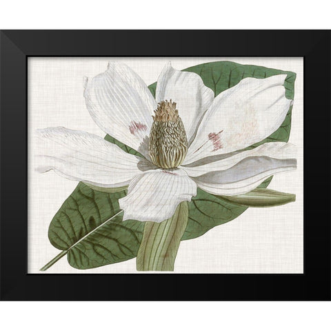 Curtis Magnolia II Black Modern Wood Framed Art Print by Curtis
