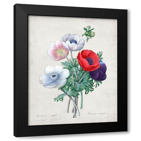 Redoute Bouquet II Black Modern Wood Framed Art Print with Double Matting by Redoute, Pierre