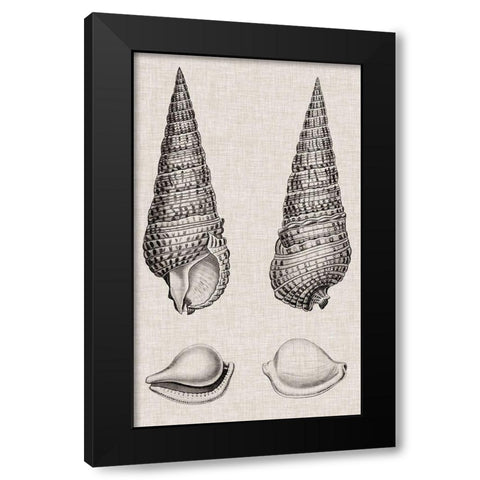 Charcoal and Linen Shells I Black Modern Wood Framed Art Print with Double Matting by Vision Studio