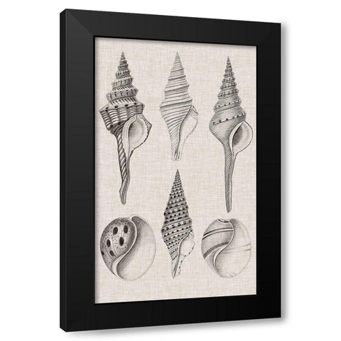 Charcoal and Linen Shells II Black Modern Wood Framed Art Print with Double Matting by Vision Studio