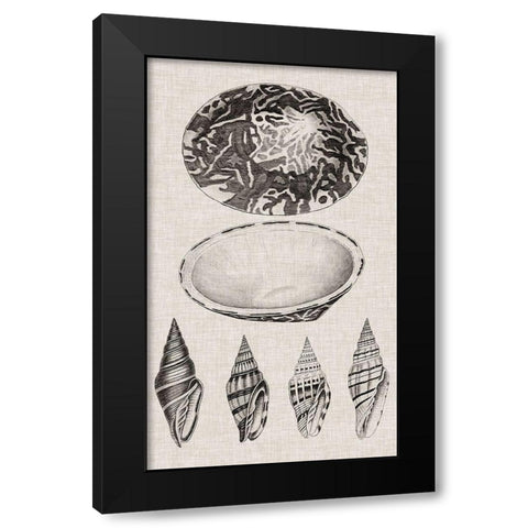 Charcoal and Linen Shells III Black Modern Wood Framed Art Print with Double Matting by Vision Studio