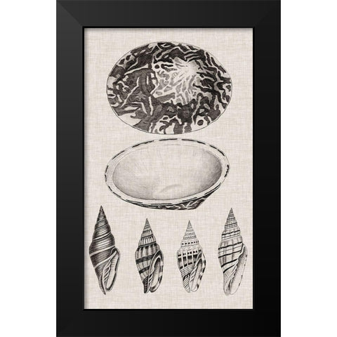 Charcoal and Linen Shells III Black Modern Wood Framed Art Print by Vision Studio