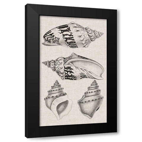 Charcoal and Linen Shells IV Black Modern Wood Framed Art Print with Double Matting by Vision Studio