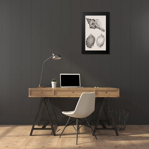 Charcoal and Linen Shells V Black Modern Wood Framed Art Print by Vision Studio