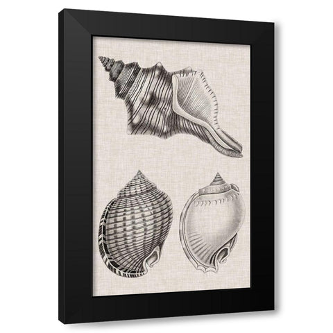 Charcoal and Linen Shells V Black Modern Wood Framed Art Print with Double Matting by Vision Studio