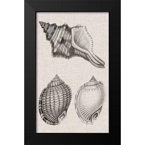 Charcoal and Linen Shells V Black Modern Wood Framed Art Print by Vision Studio