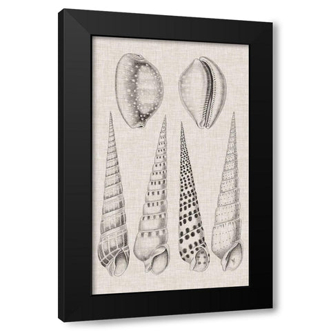 Charcoal and Linen Shells VI Black Modern Wood Framed Art Print by Vision Studio