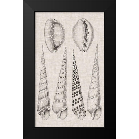 Charcoal and Linen Shells VI Black Modern Wood Framed Art Print by Vision Studio