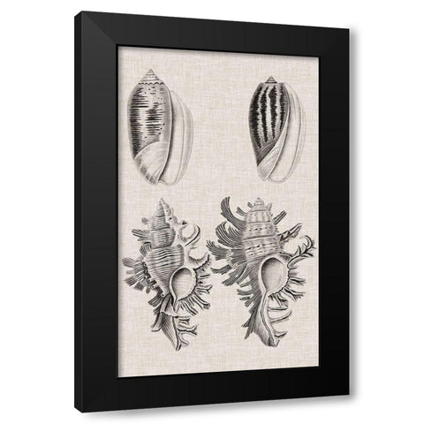 Charcoal and Linen Shells VII Black Modern Wood Framed Art Print with Double Matting by Vision Studio