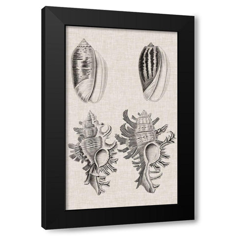 Charcoal and Linen Shells VII Black Modern Wood Framed Art Print by Vision Studio