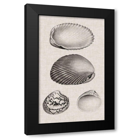 Charcoal and Linen Shells VIII Black Modern Wood Framed Art Print with Double Matting by Vision Studio