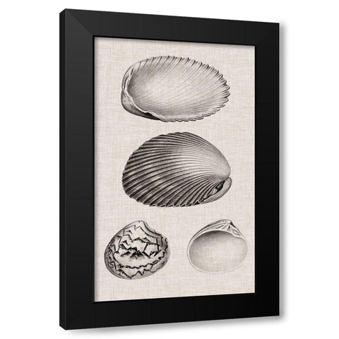 Charcoal and Linen Shells VIII Black Modern Wood Framed Art Print by Vision Studio