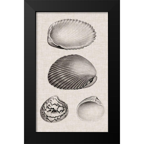 Charcoal and Linen Shells VIII Black Modern Wood Framed Art Print by Vision Studio