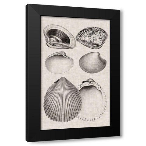 Charcoal and Linen Shells IX Black Modern Wood Framed Art Print with Double Matting by Vision Studio