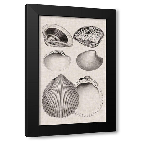 Charcoal and Linen Shells IX Black Modern Wood Framed Art Print by Vision Studio