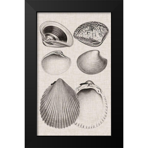 Charcoal and Linen Shells IX Black Modern Wood Framed Art Print by Vision Studio