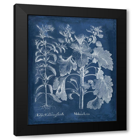 Besler Leaves in Indigo I Black Modern Wood Framed Art Print by Vision Studio