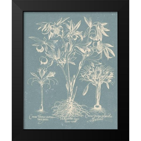 Delicate Besler Botanical II Black Modern Wood Framed Art Print by Vision Studio