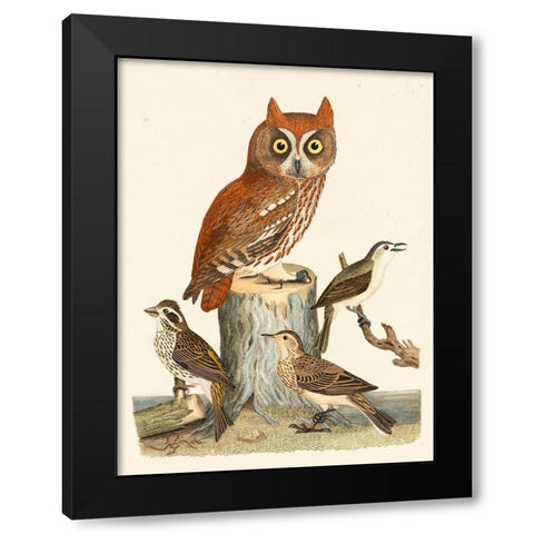 Wilson Owls II Black Modern Wood Framed Art Print by Wilson, Alexander