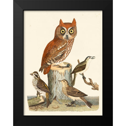 Wilson Owls II Black Modern Wood Framed Art Print by Wilson, Alexander