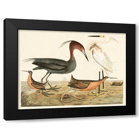 Heron Family IV Black Modern Wood Framed Art Print with Double Matting by Wilson, Alexander